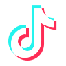 TikTok Logo